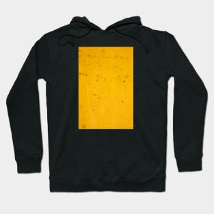 Cracked painting texture 7 Hoodie